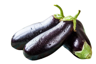 Eggplants  Medium Uzbekistan