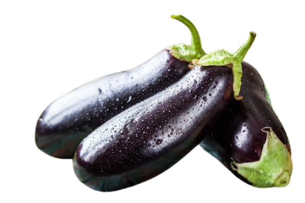 Eggplants  Medium Uzbekistan