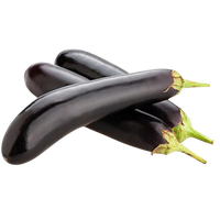 Long Eggplants