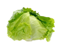 Ice Berg 1 pc