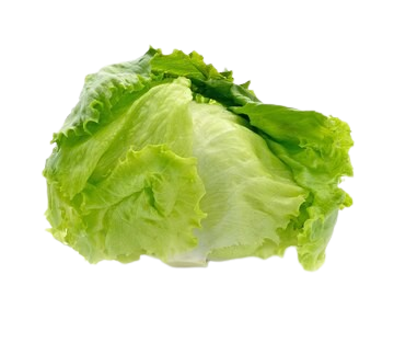 Ice Berg 1 pc