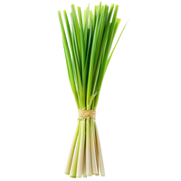 Lemon Grass