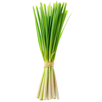 Lemon Grass