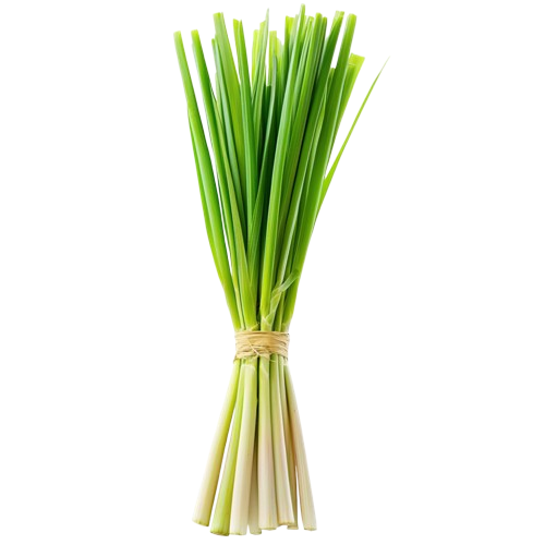 Lemon Grass