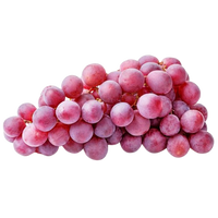 Red Grape Autumn seedless