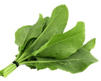 Sorrel Uzbekistan