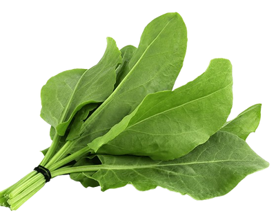 Sorrel Uzbekistan