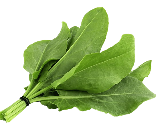 Sorrel Uzbekistan