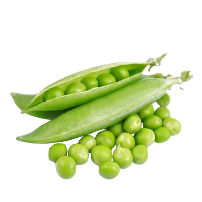 Lebanese Green Peas