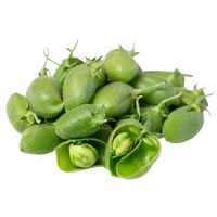 Lebanese Green Chickpeas