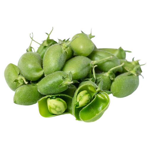 Lebanese Green Chickpeas