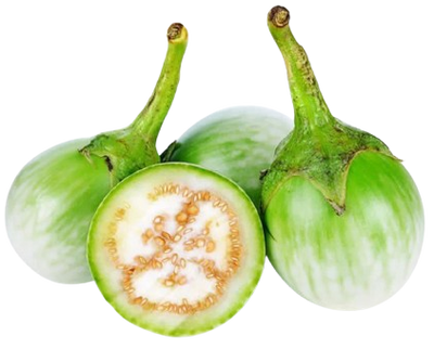 Mini Green Round  Eggplant