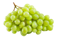 Green Grape Autumn seedless