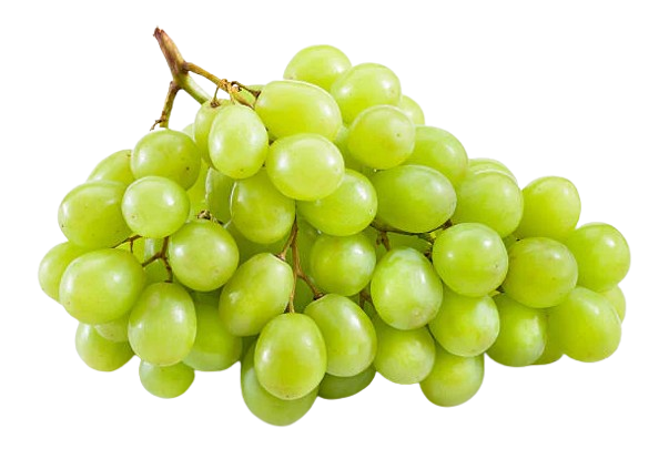 Green Grape Autumn seedless