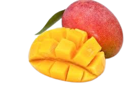 Mango  Kent ~1  pc
