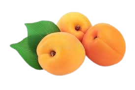 Apricot Shalah Uzbekistan