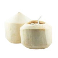 Fresh Tender Young Coconut per pcs