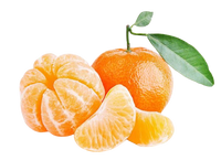 Mandarin Nova