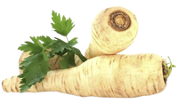 Parsnip