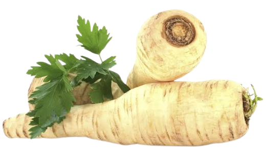 Parsnip