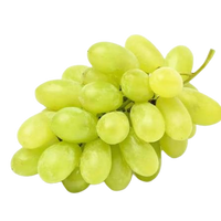 Green Grapes Spain