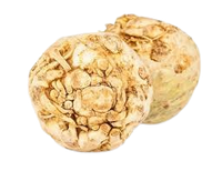 Celery Root 1 pc