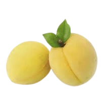 White Apricot Armenia
