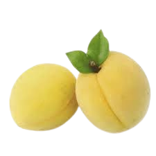 White Apricot Armenia