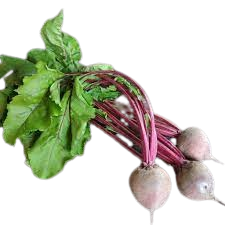 Young beetroot Uzbekistan