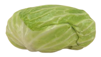Flat Cabbage 1 pc