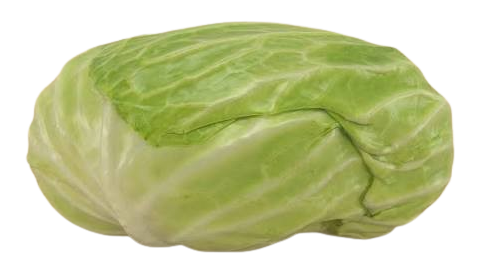 Flat Cabbage 1 pc