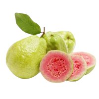 Pink Guava
