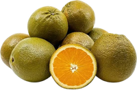Orange Chocolate Navel