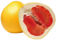 Pomelo Red