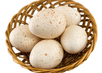 Turkey eggs 6 pcs