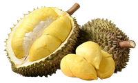 Fresh Durian 1 pc