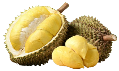 Fresh Durian 1 pc