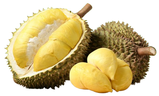 Fresh Durian 1 pc