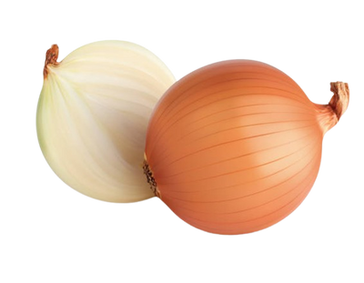 Young Onion From Uzbekistan