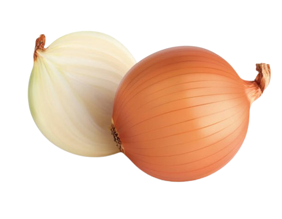 Young Onion From Uzbekistan