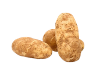 Potato Bag