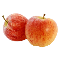 Janaki Apples Uzbekistan