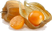 Golden Berry