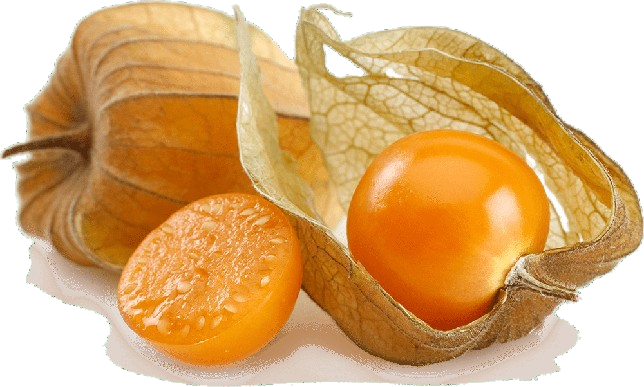 Golden Berry