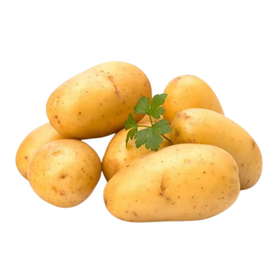 Potato Uzbekistan