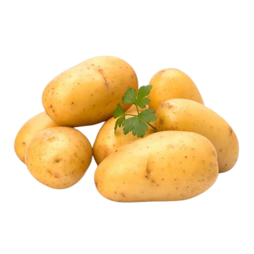Potato Uzbekistan