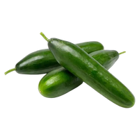 Lebanese cucumber