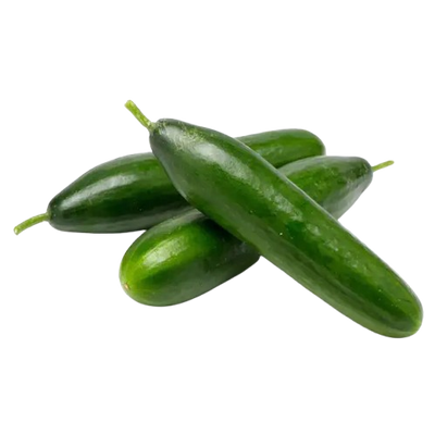 Lebanese cucumber