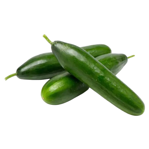 Lebanese cucumber