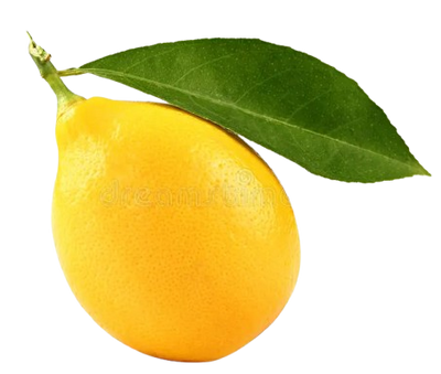 Young Lemon Uzbekistan